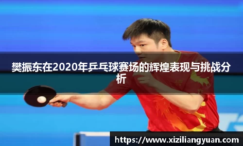 77体育在线直播官网