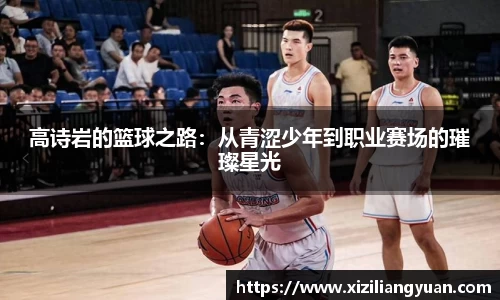 77体育在线直播官网