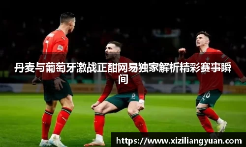 丹麦与葡萄牙激战正酣网易独家解析精彩赛事瞬间
