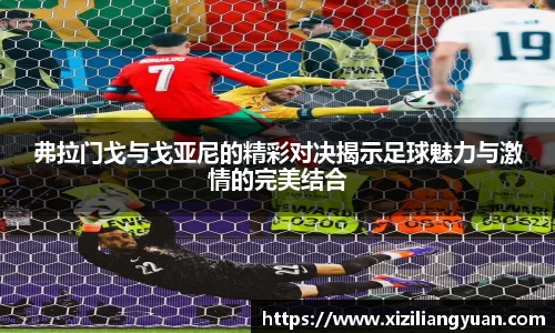 77体育在线直播官网