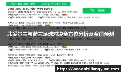北爱尔兰与荷兰足球对决全方位分析及赛前预测