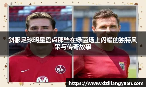 斜眼足球明星盘点那些在绿茵场上闪耀的独特风采与传奇故事