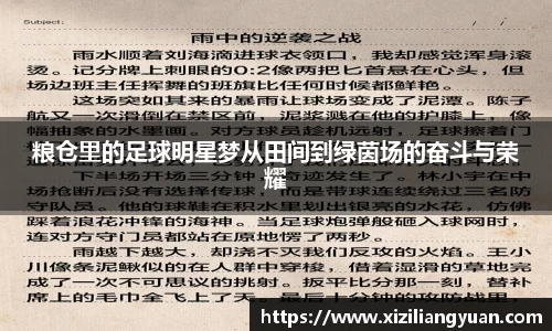 粮仓里的足球明星梦从田间到绿茵场的奋斗与荣耀