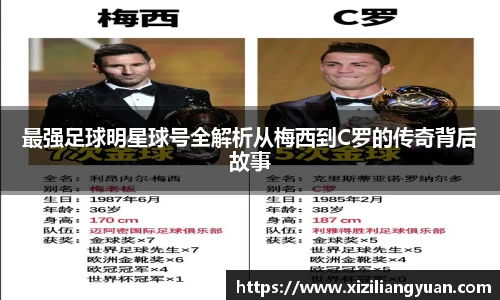 77体育在线直播官网