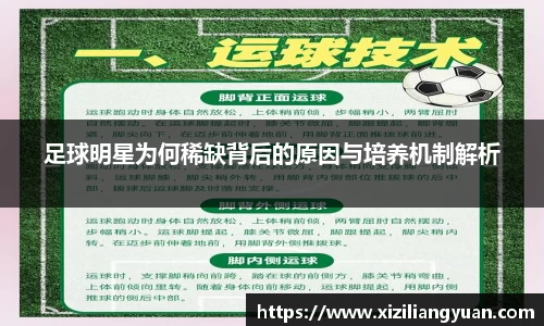 77体育在线直播官网