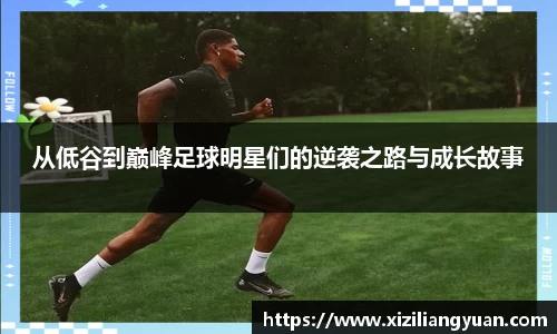 77体育在线直播官网